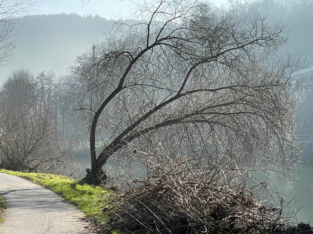 Ferienwohnung Bei Bad Ems Im Lahntal Fachbach Εξωτερικό φωτογραφία