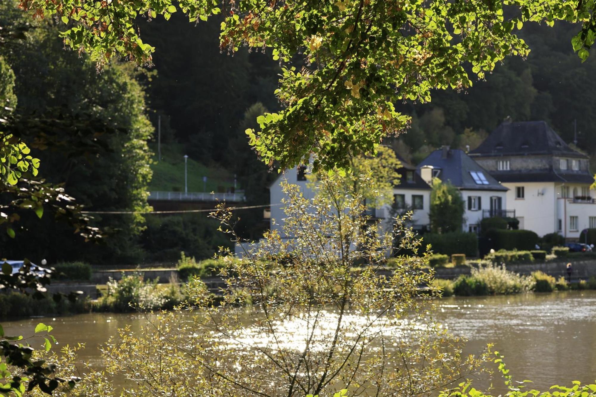 Ferienwohnung Bei Bad Ems Im Lahntal Fachbach Εξωτερικό φωτογραφία